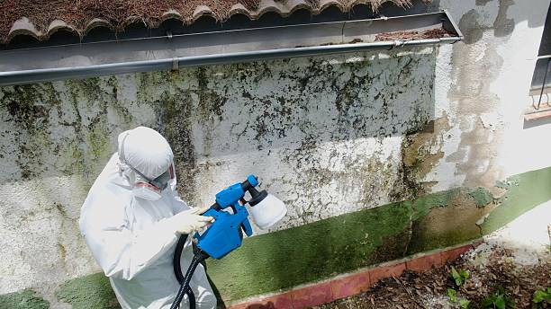 Top rated local Crawl Space Mold Remediation specialists in Sharon, TN